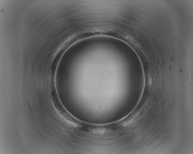 X0000062170444200512161255