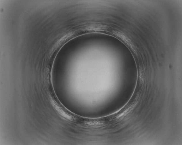 X0000062170445200512161255