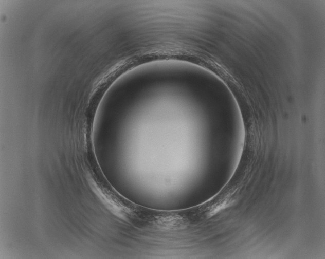 X0000062170446200512161255