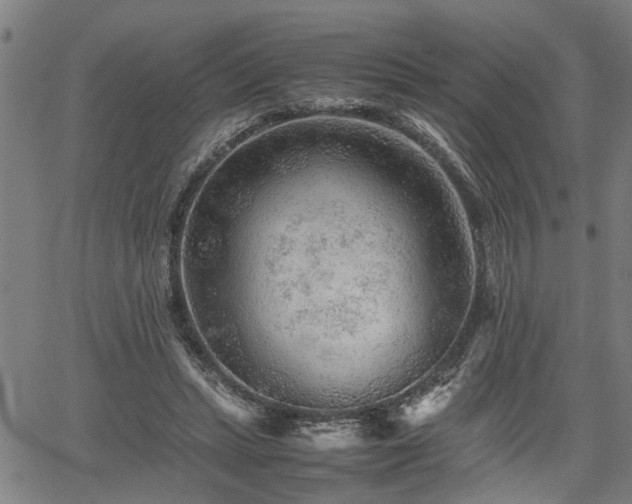 X0000062170447200512161255