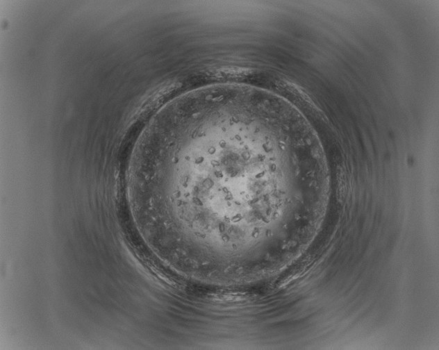 X0000062170451200512161255