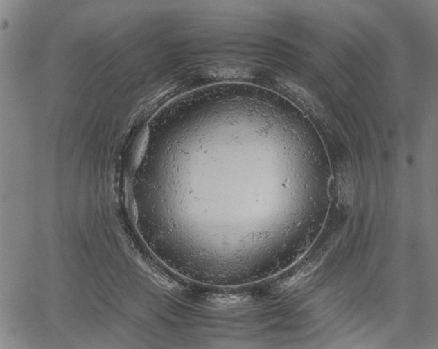 X0000062170453200512161255