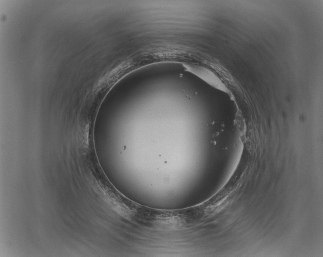 X0000062170454200512161255