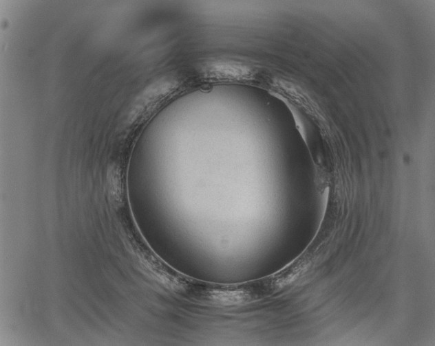 X0000062170457200512161255