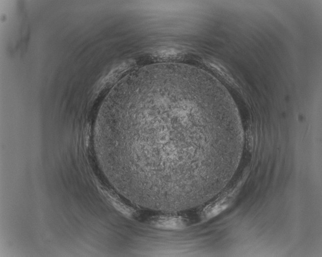 X0000062170458200512161255