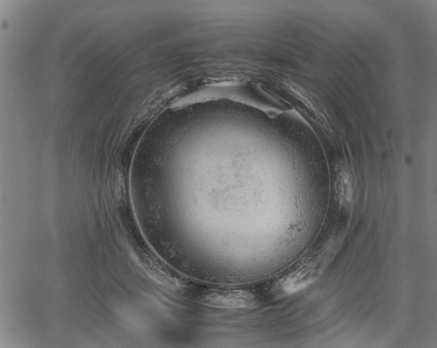 X0000062170459200512161255