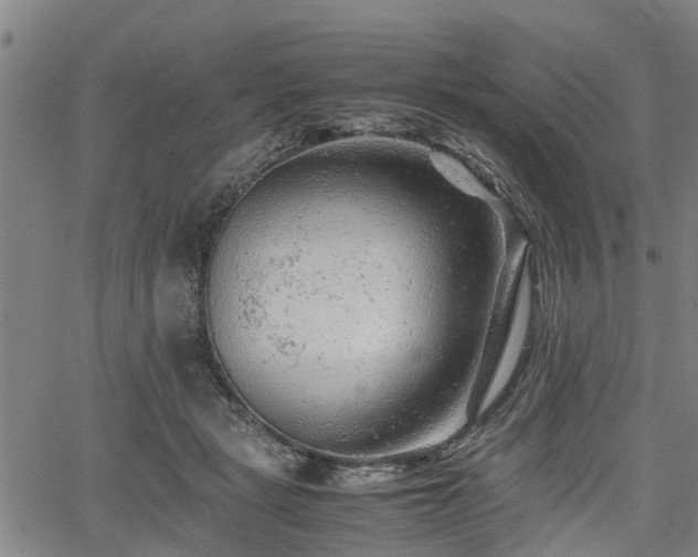 X0000062170461200512161255