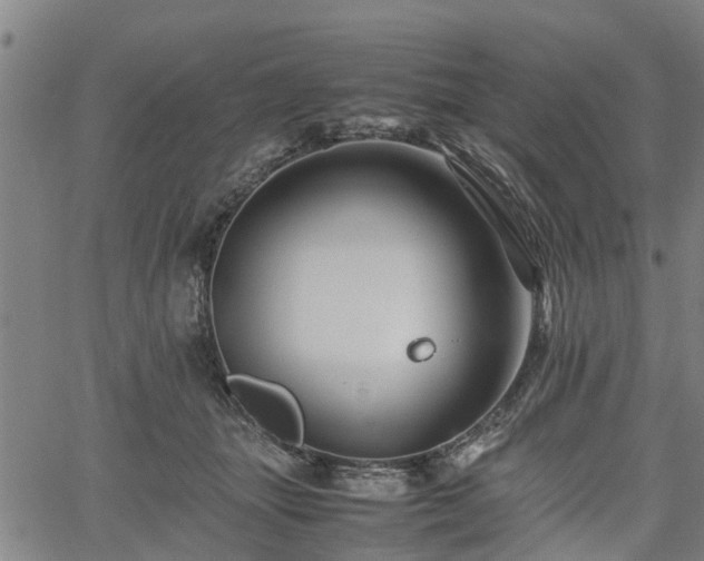 X0000062170463200512161255