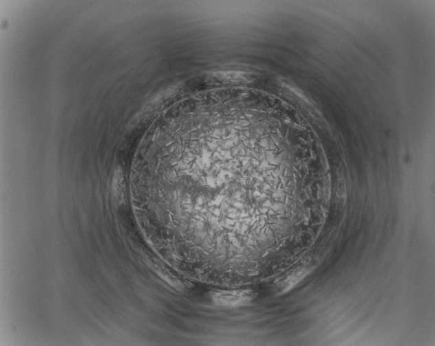 X0000062170465200512161255