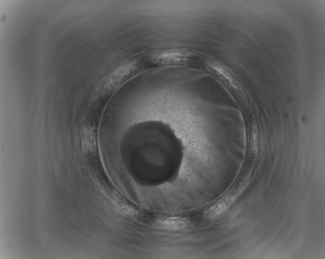 X0000062170467200512161255