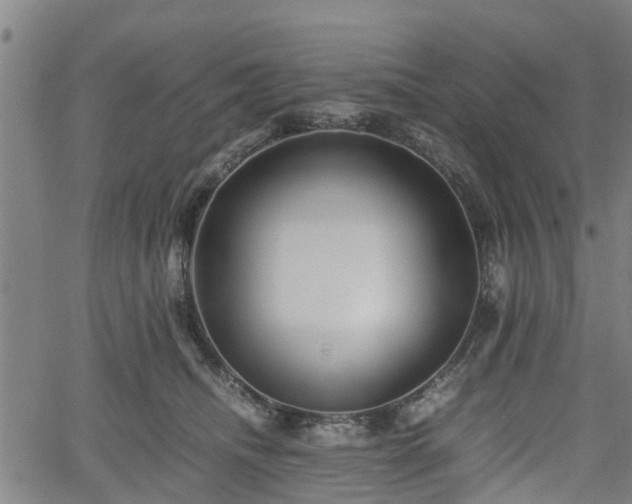 X0000062170468200512161255