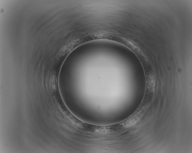 X0000062170470200512161255