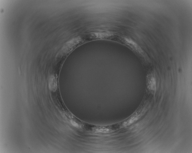 X0000062170471200512161255