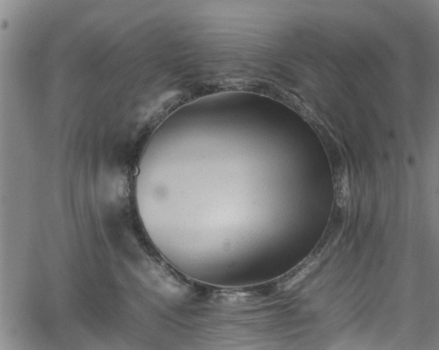 X0000062170472200512161255