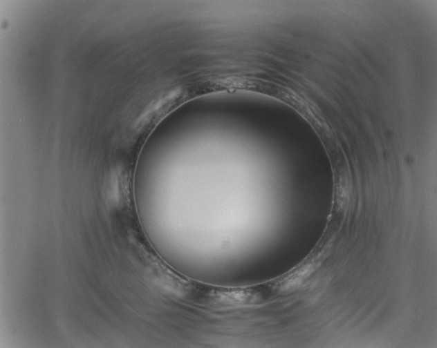 X0000062170473200512161255