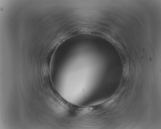 X0000062170474200512161255