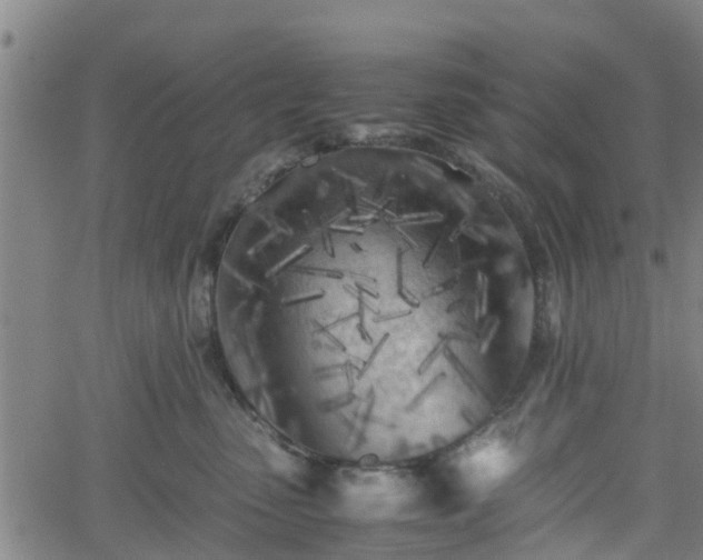 X0000062170475200512161256