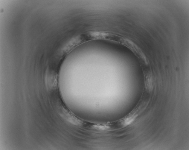 X0000062170477200512161256