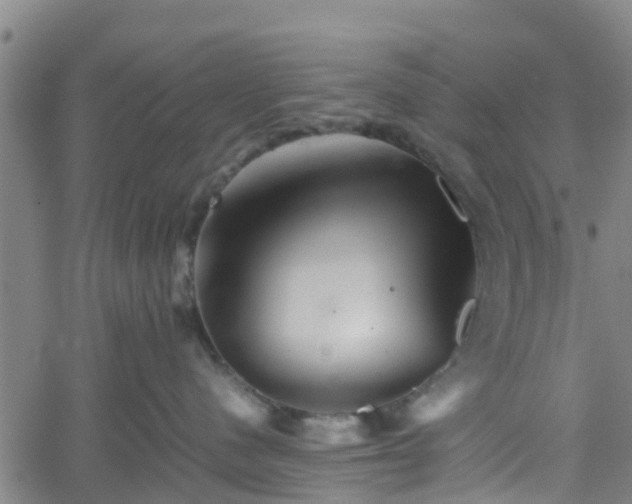 X0000062170480200512161256