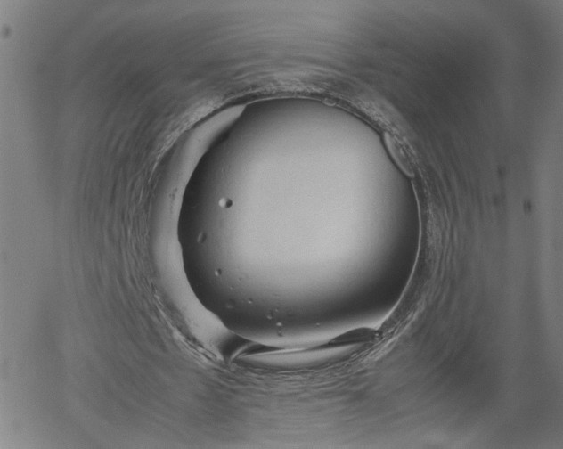 X0000062170481200512161255