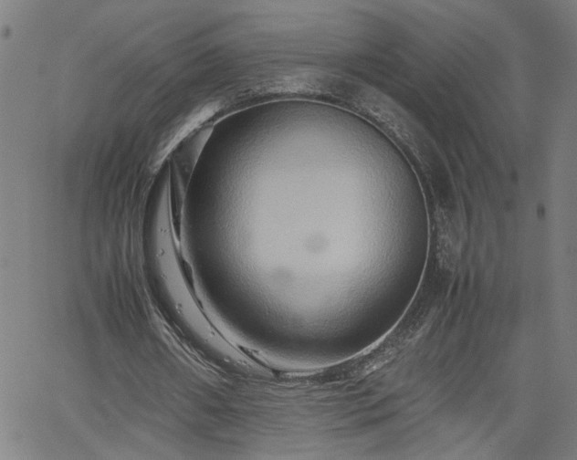 X0000062170482200512161255