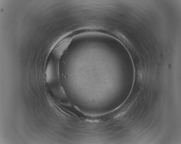 X0000062170484200512161255