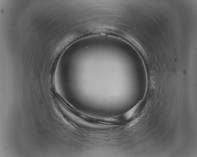 X0000062170485200512161255