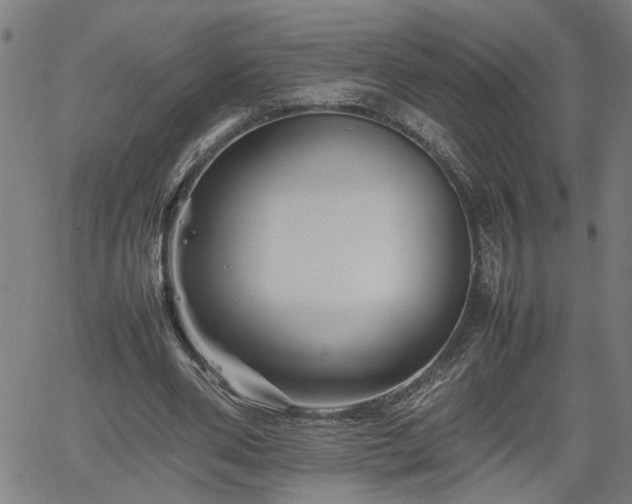 X0000062170486200512161255