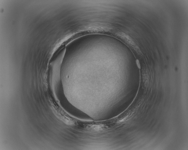 X0000062170488200512161255