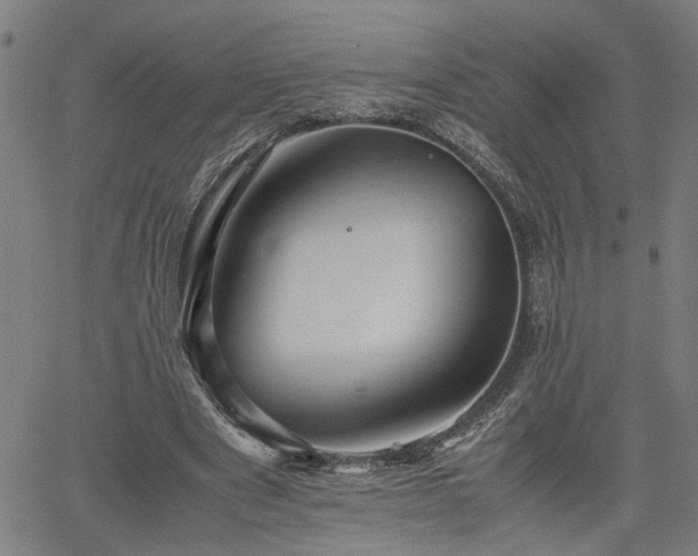 X0000062170489200512161255