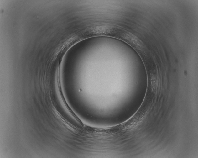 X0000062170490200512161255