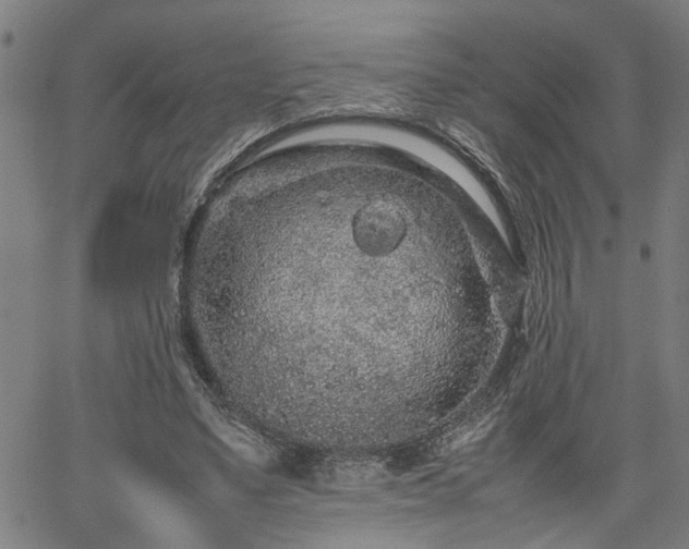 X0000062170491200512161255