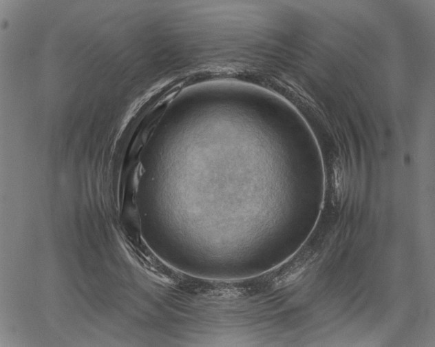 X0000062170492200512161255