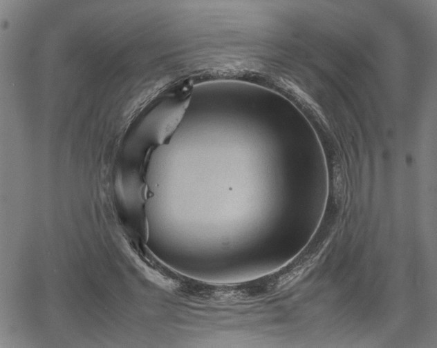 X0000062170493200512161255