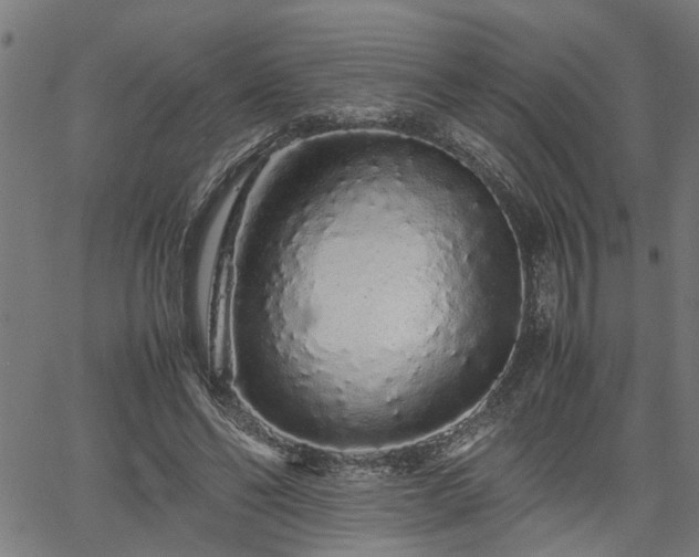 X0000062170494200512161255