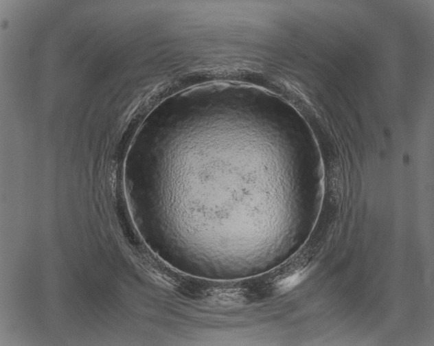 X0000062170495200512161255