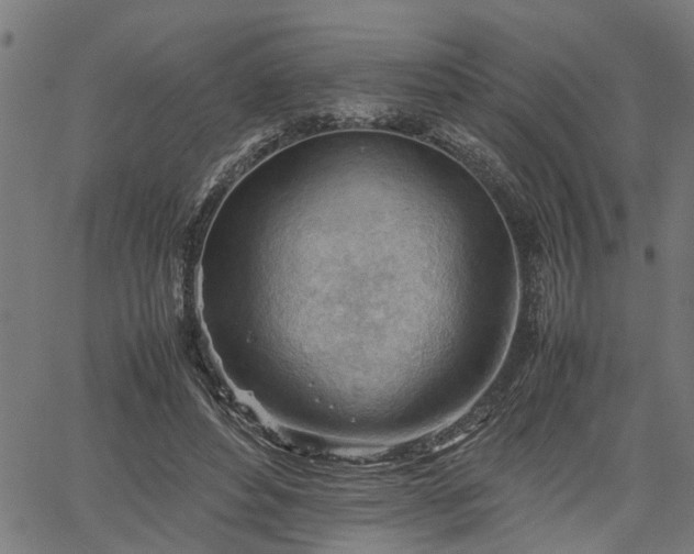 X0000062170496200512161255