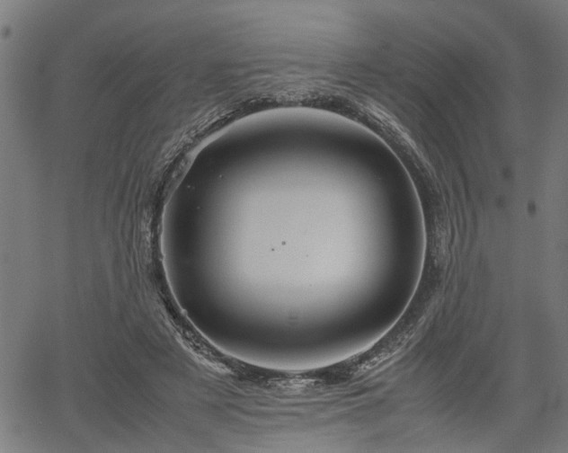 X0000062170497200512161255