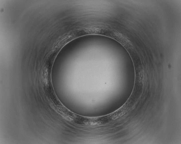 X0000062170498200512161255