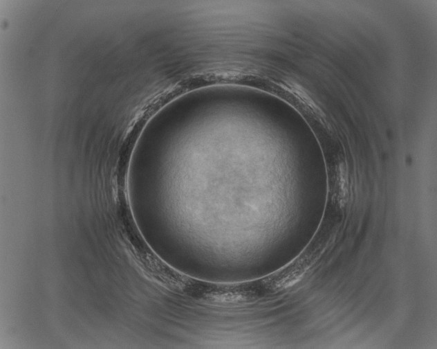 X0000062170500200512161255