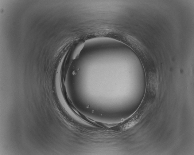 X0000062170501200512161254