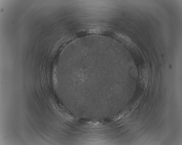 X0000062170502200512161254