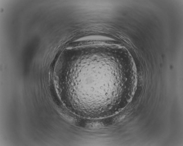 X0000062170503200512161254