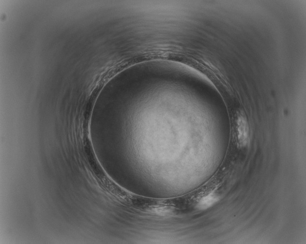 X0000062170504200512161254