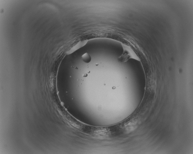 X0000062170505200512161254