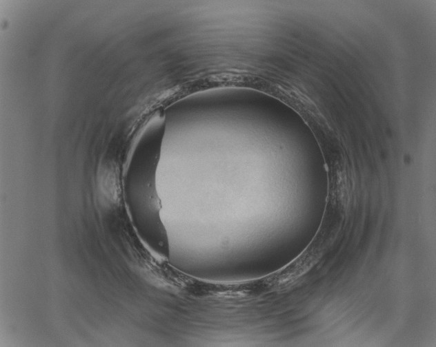 X0000062170508200512161254