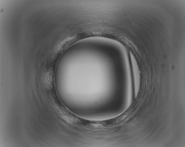 X0000062170509200512161254