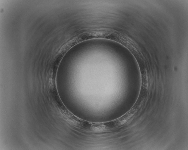 X0000062170510200512161254