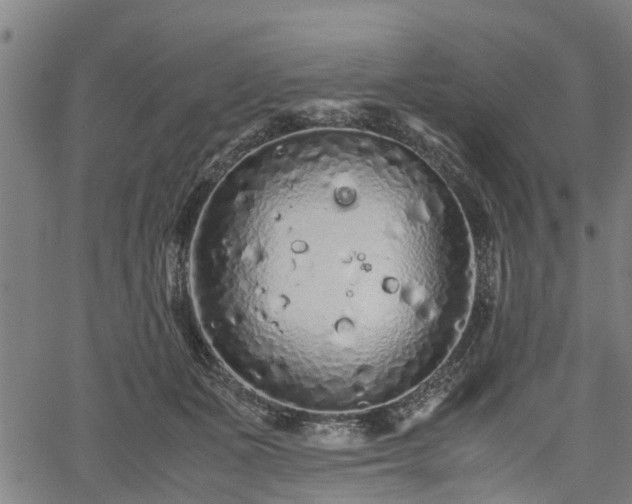 X0000062170511200512161254