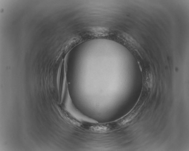 X0000062170512200512161254